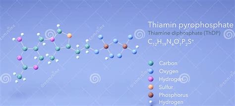 Thiamine Pyrophosphate, Molecular Structures, Thiamine Diphosphate, 3d ...