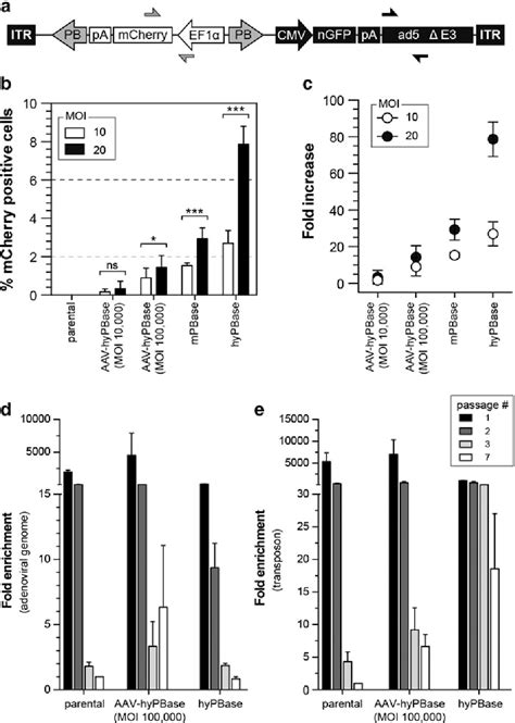 Figure From A Hybrid Adenoviral Vector System Achieves Efficient Long