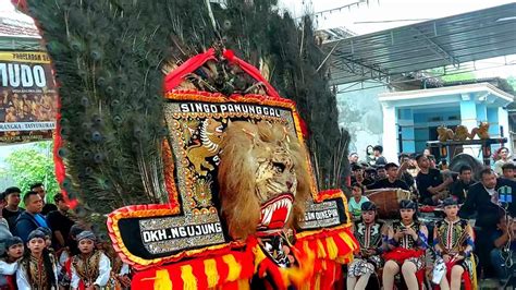 Kuat Banget Atraksi Hebat Pembarong Junior Reog Ponorogo Gemparkan