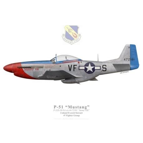 P 51D Mustang Sunny VIII Col Everett Stewart 4th FG 1945 Bravo