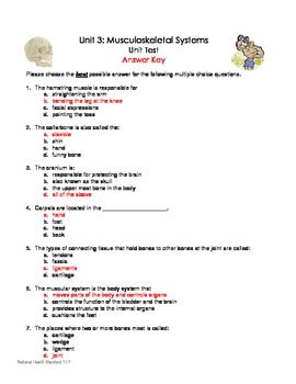 Musculoskeletal System Test And Answer Key By Rockin The Lesson LLC