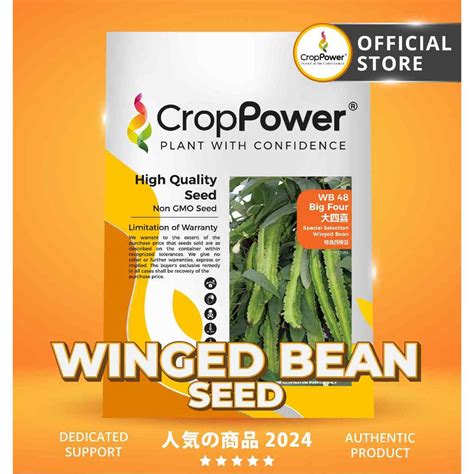 Gram Biji Benih Kacang Botol Big Four Wb Crop Power Winged