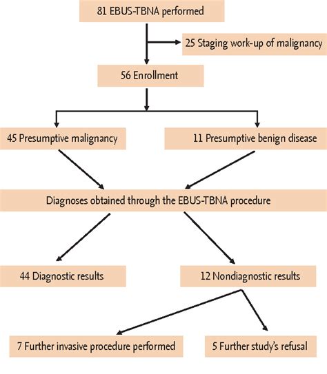 Figure 1 From The Diagnostic Efficacy And Safety Of Endobronchial