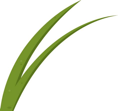 Cartoon Grass Leaves Clip Art 21612221 Png