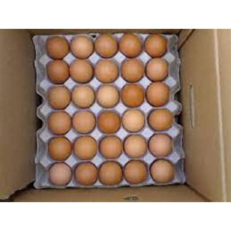 Bulk Buy United Kingdom Wholesale Fresh Chicken Table Eggs Fertilized