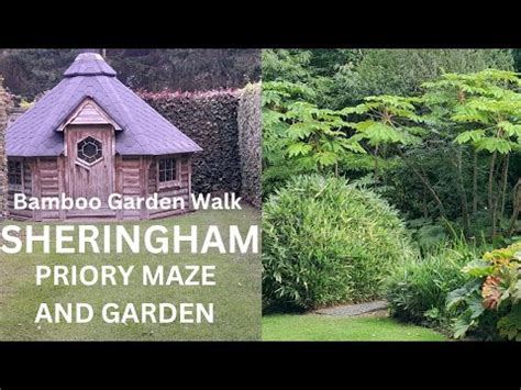 Sheringham Priory Maze And Gardens Norfolk S Hidden Gem Bamboo