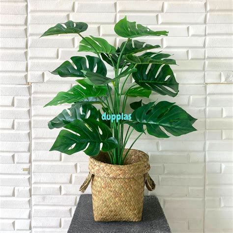 Jual Pohon Daun Monstera Tapak Gajah X18 Semi Latex Artificial Cover