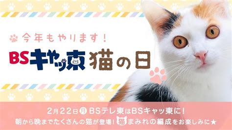 「吉祥寺は猫と共生する街」2月22日は”猫の日”。吉祥寺には猫好きが喜ぶスポットがたくさん！ テレビ東京・bsテレ東の読んで見て