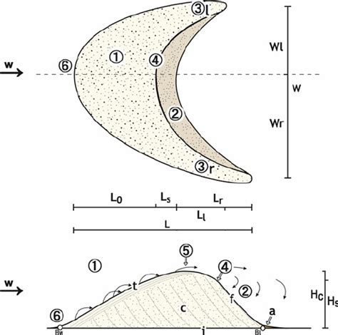 Barchan Dune Diagram