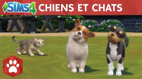 Les Sims 4 Chiens Et Chats Bande Annonce Officielle De Sortie YouTube