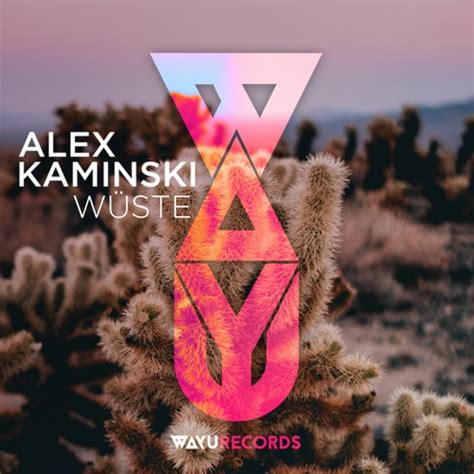 Stream Alex Kaminski Wüste Adisyn Remix Preview by WAYU Records