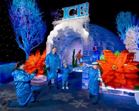 ICE AT GAYLORD PALMS - wdwinfo.com