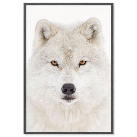 Snow Wolf Art Print - Choosy