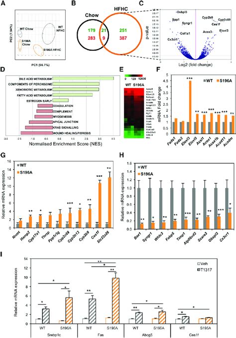 Changes In Lxra Phosphorylation Reprogram Hepatic Gene Expression A