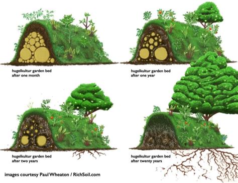 Permaculture Garden Examples | Fasci Garden