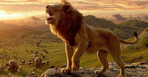 Disney ha presentado el tráiler de Mufasa El Rey León precuela de