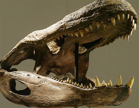 Purussaurus – a bus sized caiman | DinoAnimals.com