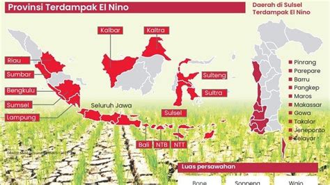 Hujan Buatan Bukan Solusi Danny Pomanto Ajak Ahli Geologi Cari Sumber