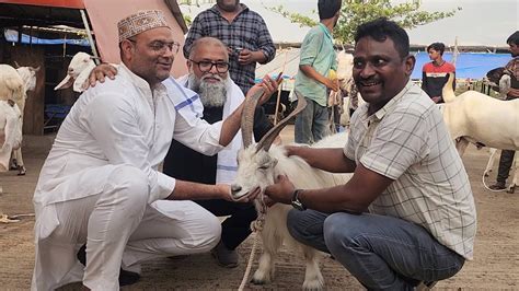 Jd Goat Farm Live Unloading Palai Goats Orisa Se Log Palvate Hai