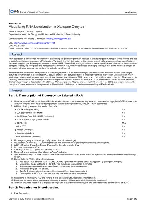 (PDF) Visualizing RNA Localization in Xenopus Oocytes 