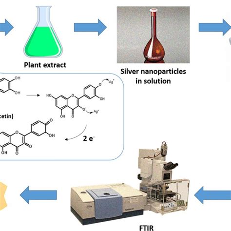 Mechanism Of Silver Nanoparticles Formation 13 14 Table 1