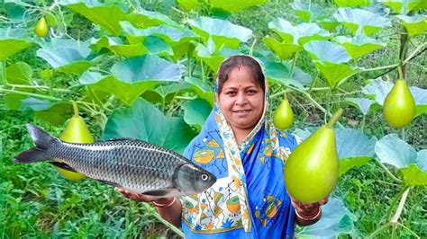 গাছের টাটকা তাজা লাউ কেটে আজ রান্না করলাম লাউ দিয়ে পাতলা মাছের ঝোল