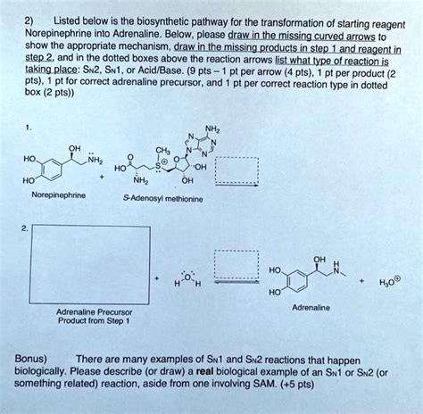 Solved Listed Below Is The Biosynthetic Pathway For The Transformation