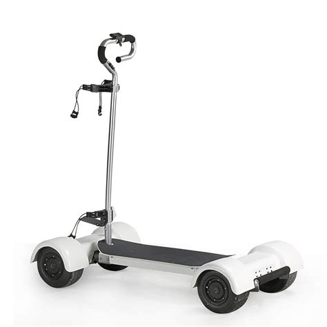 Ecorider E7 2 Four Wheel Golf Skateboard Electric Scooter