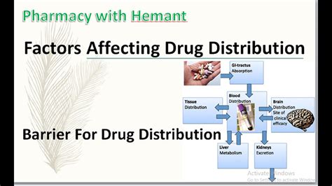 Factors Affecting Drug Distribution Youtube