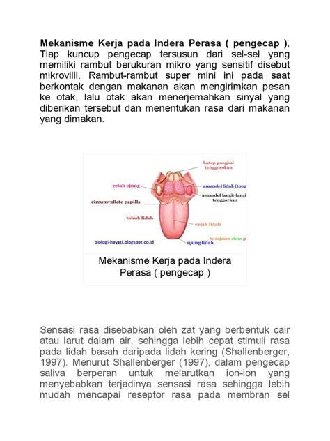 mekanisme pengecapan