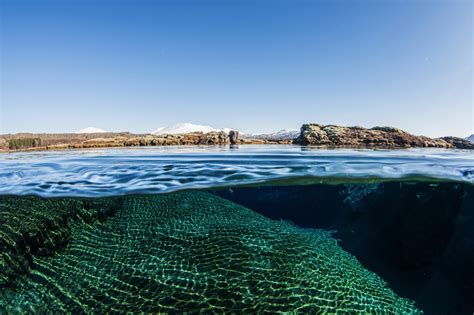 Dive Silfra And Whale Watching Day Tour Diveis Iceland