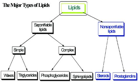 Major Types Of Lipids Fatty Acids Come Under Triglycerides According