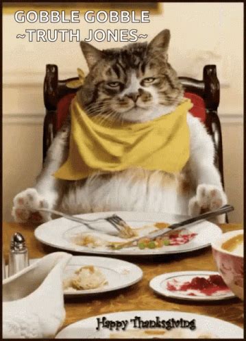 Kitten Happy Thanksgiving GIF - Kitten Happy Thanksgiving Full - Discover & Share GIFs