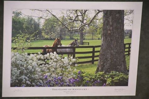 Large Signed Limited Edition Framed Print The Glory Of Kentucky By