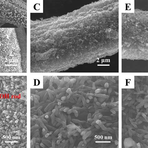 SEM Images Of FeOOH C A And B NZVI C Composites C And D NZVI C