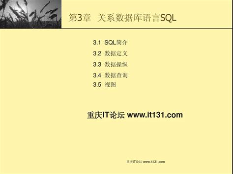 Sql Server关系数据库语言sqlword文档在线阅读与下载无忧文档