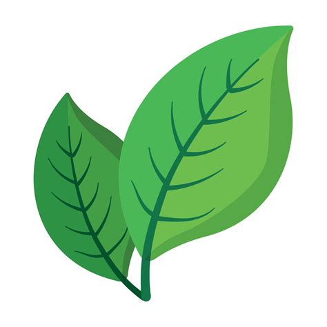 Two Green Leaves Cartoon Icon Vector Art At Vecteezy