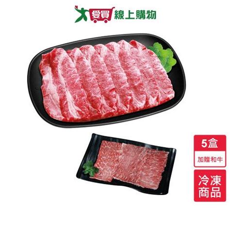 美國牛雪花火鍋片5盒組贈日本和牛火鍋肉片盒100g盒【愛買冷凍】 牛肉牛排 Yahoo奇摩購物中心