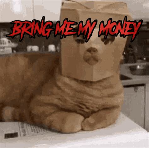 Bring Me My Money Business GIF - BringMeMyMoney Business Cat - Discover ...