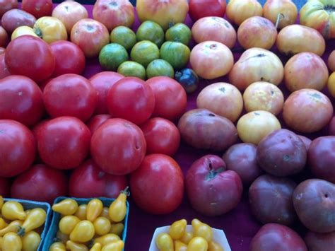 Tastes And Textures Of The Tomato Rainbow Tasting