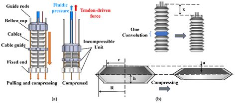 Biomimetics Free Full Text Double Acting Soft Actuator For Soft