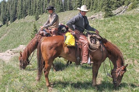 Craig Cameron Camping With You Horses How To Tie A Picket Line And