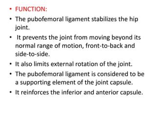 Ligament | PPT