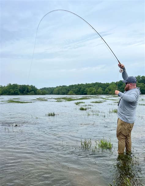 Redeye Bass Fly Fishing