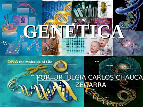 PPT EXPOSICION GENETICA DOKUMEN TIPS