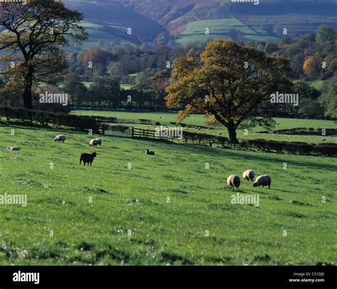 Thornhill, Peak District, Derbyshire. UK Stock Photo - Alamy