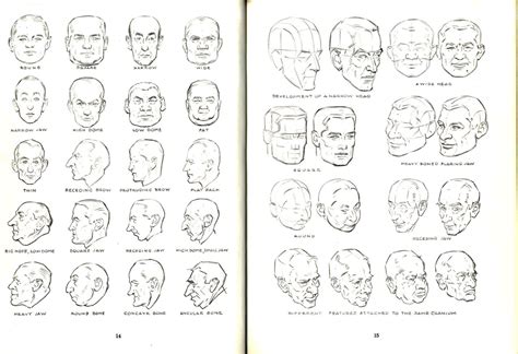 Loomis Head Drawing at PaintingValley.com | Explore collection of ...