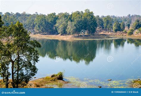 Landscape View Central Tala Zone Of Bandhavgarh National Park India