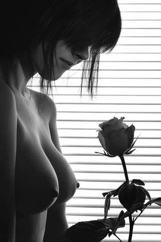 Black And White Sexy Artistic Luscious Hentai Manga Porn