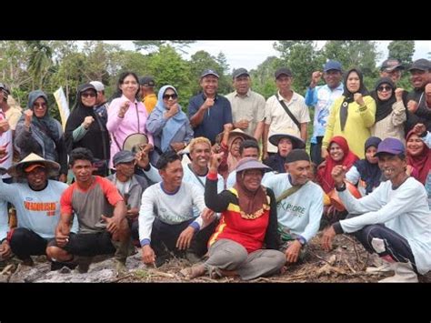 PENJABAT BUPATI MALUKU TENGAH PANEN CABE RAWIT DI DUSUN HARUO KECAMATAN